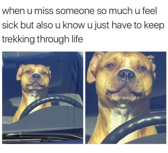 when u miss someone so much u feel sick but also u know u just have to keep trekking through life