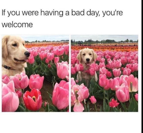 If you were having a bad day, you're welcome