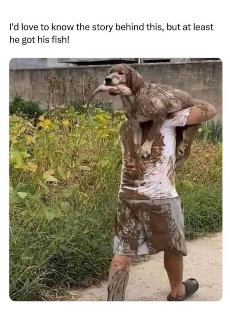 I'd love to know the story behind this, but at least he got his fish!