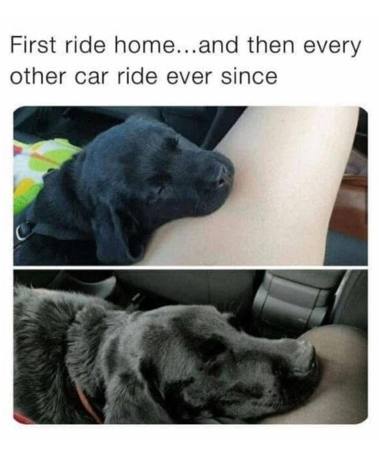 First ride home...and then every other car ride ever since