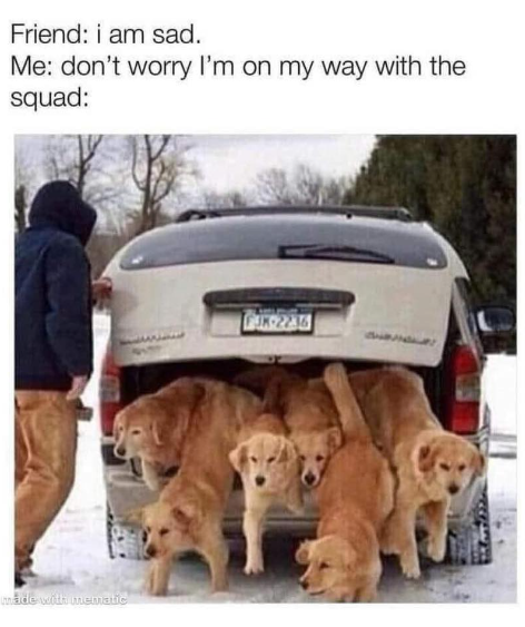 Friend: i am sad. Me: don't worry I'm on my way with the squad: made with mematic FJK-2236