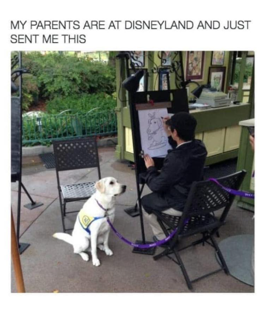 MY PARENTS ARE AT DISNEYLAND AND JUST SENT ME THIS