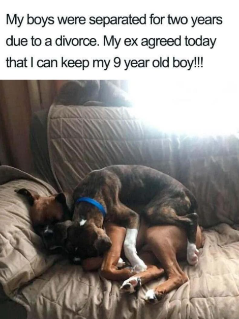My boys were separated for two years due to a divorce. My ex agreed today that I can keep my 9 year old boy!!!
