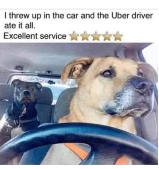 I threw up in the car and the Uber driver ate it all. Excellent service