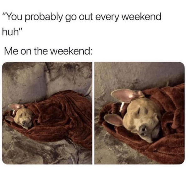"You probably go out every weekend huh" Me on the weekend: