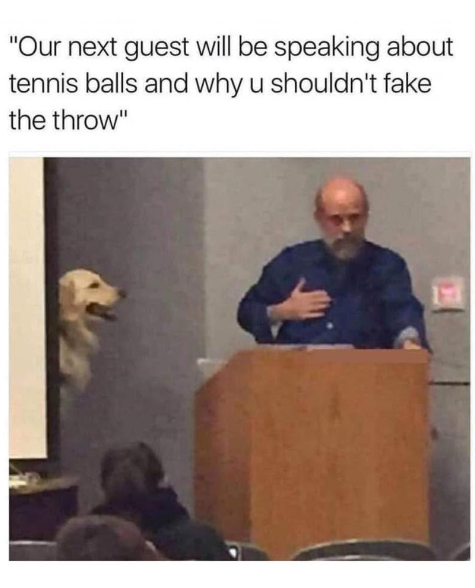 "Our next guest will be speaking about tennis balls and why u shouldn't fake the throw"