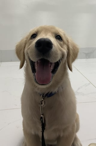 Cheezburger Image 10616951040