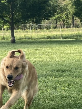 Cheezburger Image 10616952320