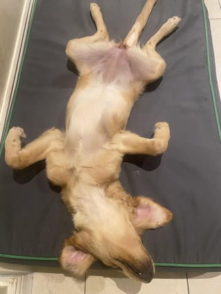 Cheezburger Image 10616953600