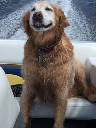 Cheezburger Image 10616953856