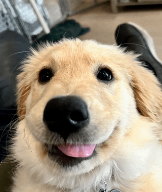 Cheezburger Image 10616954880