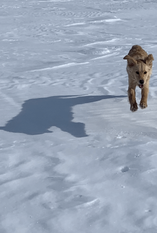 Cheezburger Image 10616955904