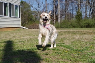 Cheezburger Image 10616956160