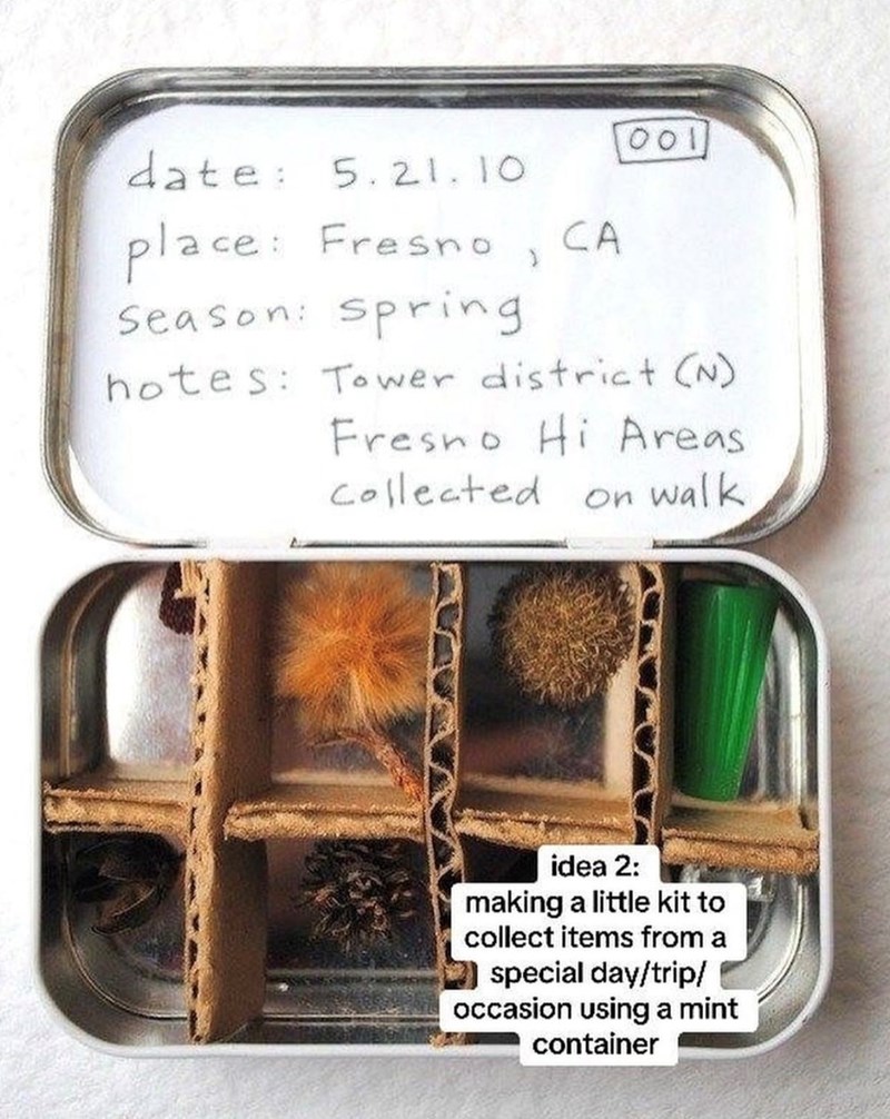 date: 5.21.10 place: Fresno CA [001] Season: Spring hotes: Tower district (N) Fresno Hi Areas. Collected on walk idea 2: making a little kit to collect items from a special day/trip/ occasion using a mint container