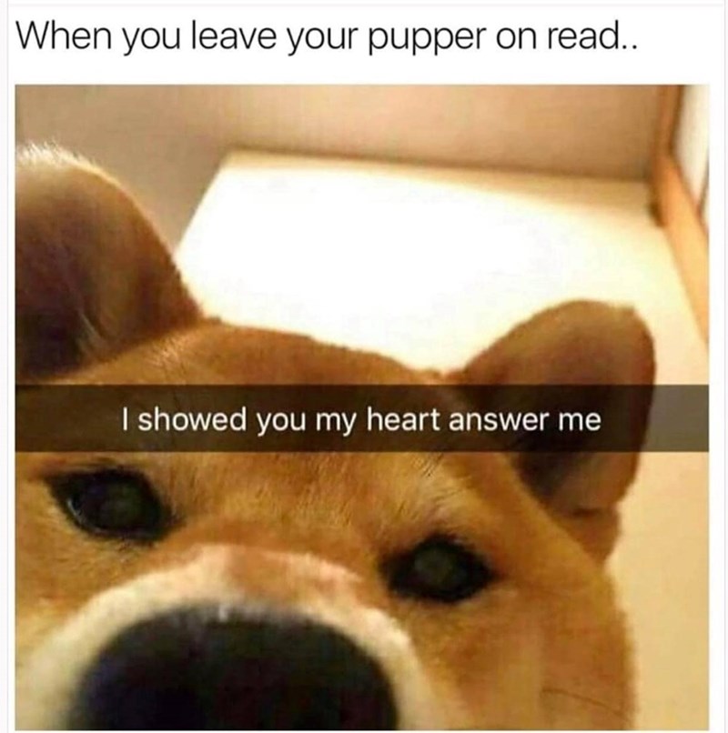 When you leave your pupper on read.. I showed you my heart answer me