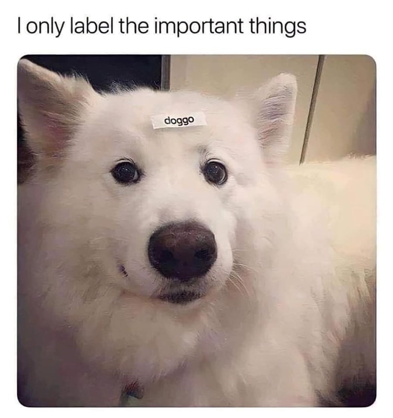 I only label the important things doggo