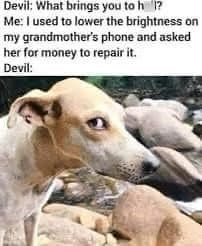 Devil: What brings you to h 1? Me: I used to lower the brightness on my grandmother's phone and asked her for money to repair it. Devil: