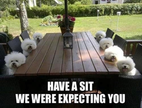 HAVE A SIT WE WERE EXPECTING YOU