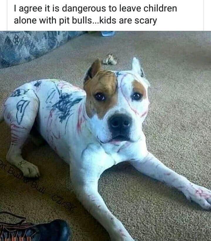 I agree it is dangerous to leave children alone with pit bulls...kids are scary it Ball & Bull CZ/SK