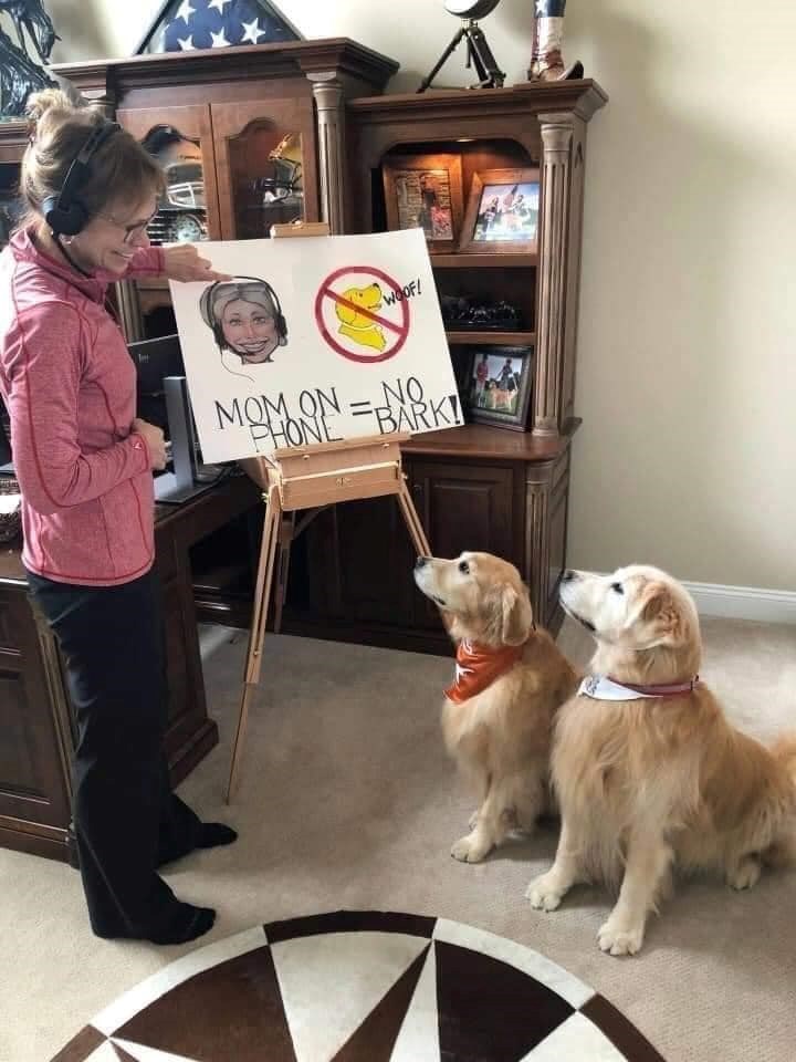 WOOF! MOM ON NO. PHONE BARK!