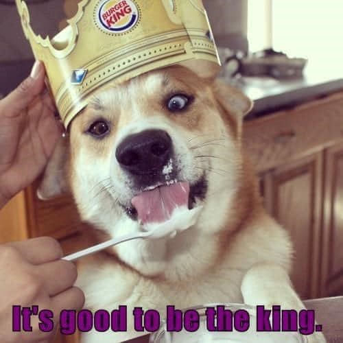 BURGER KING It's good to be the king.