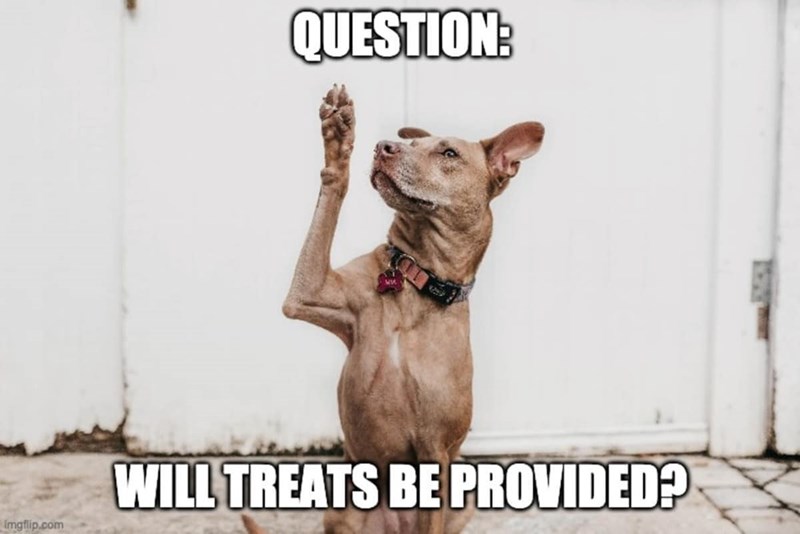 QUESTION: Imgflip.com WILL TREATS BE PROVIDED?
