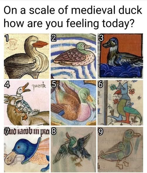 On a scale of medieval duck how are you feeling today? 1 2 3 4 queck 5 6 fidiacobi pia 8 9