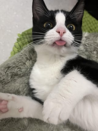 Cheezburger Image 10617008128