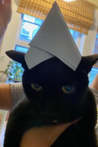 Cheezburger Image 10617012224