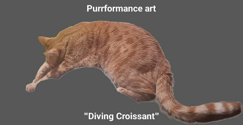 Cheezburger Image 10617018368