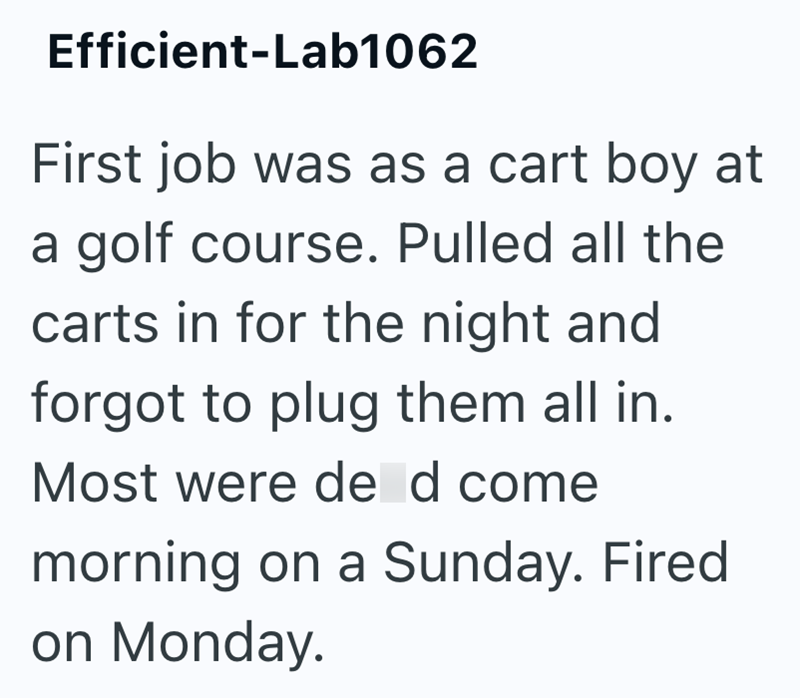 Efficient-Lab1062 First job was as a cart boy at a golf course. Pulled all the carts in for the night and forgot to plug them all in. Most were de d come morning on a Sunday. Fired. on Monday.