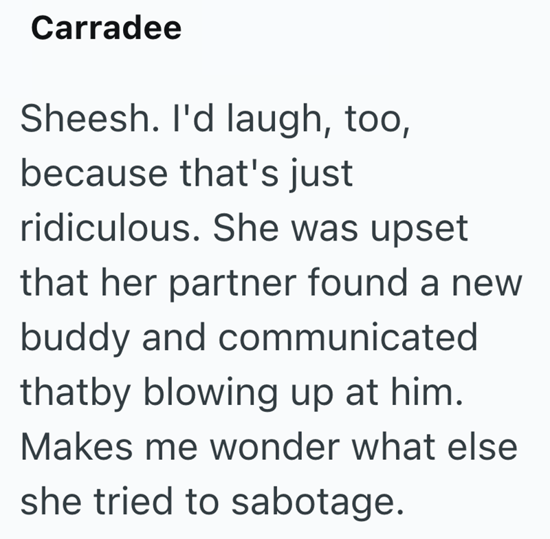 Carradee Sheesh. I'd laugh, too, because that's just ridiculous. She was upset that her partner found a new buddy and communicated thatby blowing up at him. Makes me wonder what else she tried to sabotage.