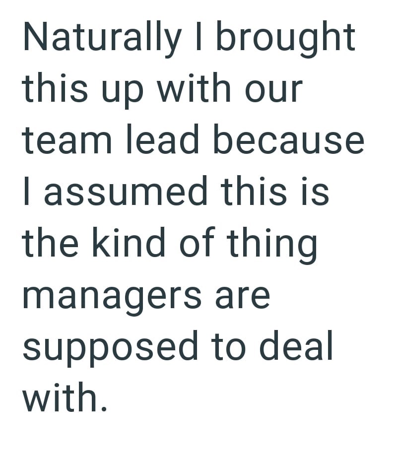Naturally I brought this up with our team lead because I assumed this is the kind of thing managers are supposed to deal with.