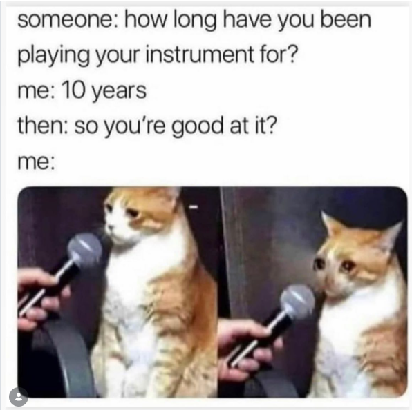 someone: how long have you been playing your instrument for? me: 10 years then: so you're good at it? me: