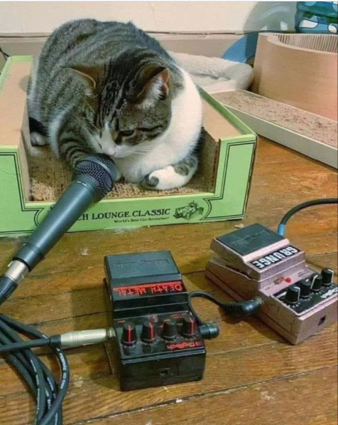 CH LOUNGE CLASSIC GRUNGE DEATH METAL