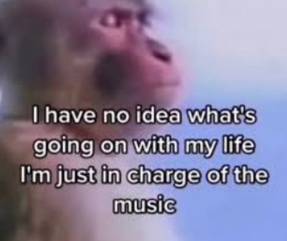 I have no idea what's going on with my life I'm just in charge of the music