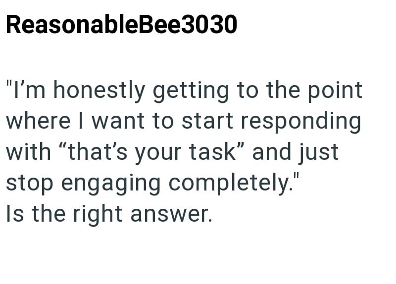 ReasonableBee3030 "I'm honestly getting to the point where I want to start responding with "that's your task" and just stop engaging completely." Is the right answer.
