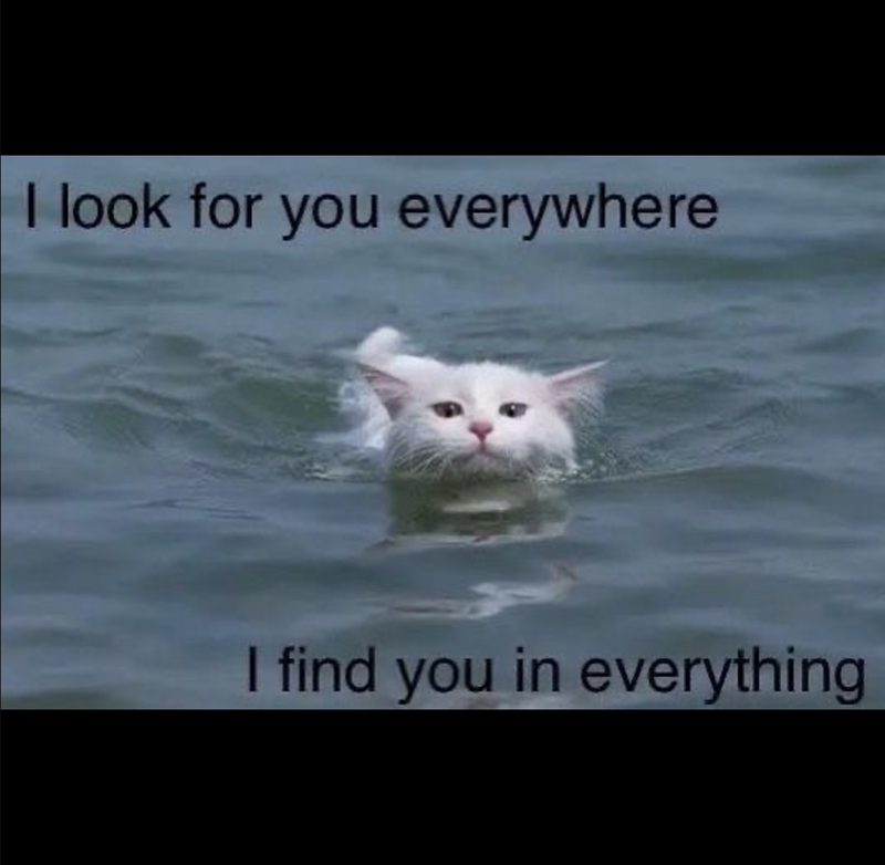 I look for you everywhere I find you in everything