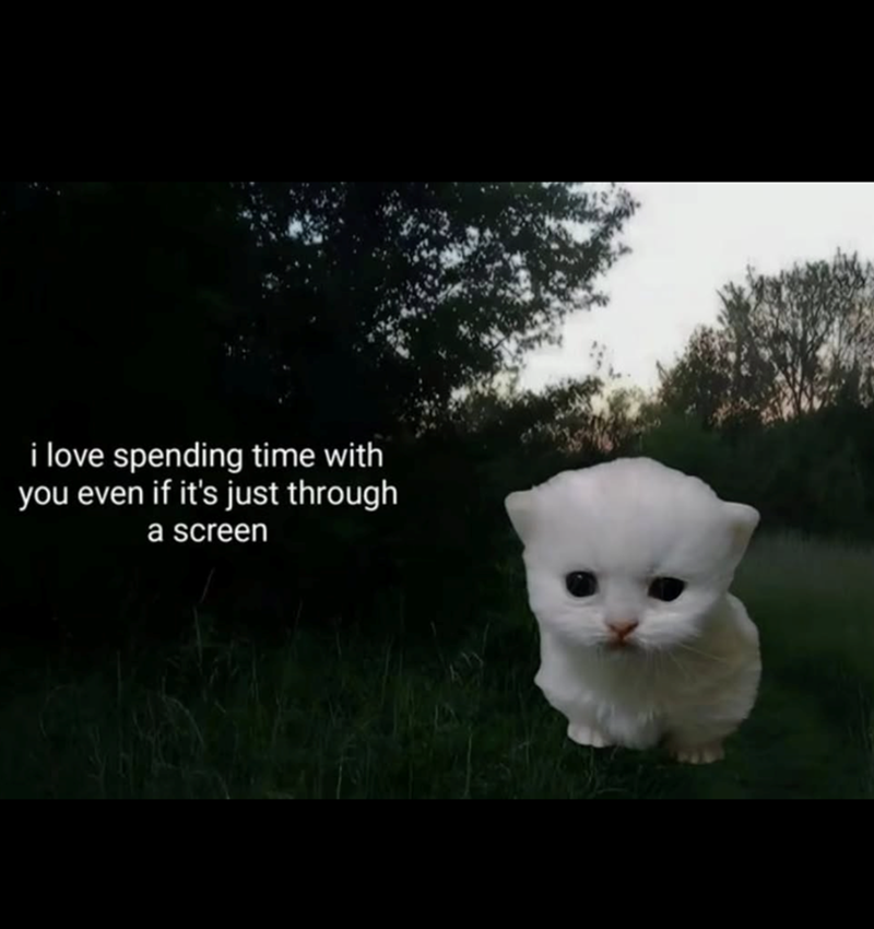 i love spending time with you even if it's just through a screen