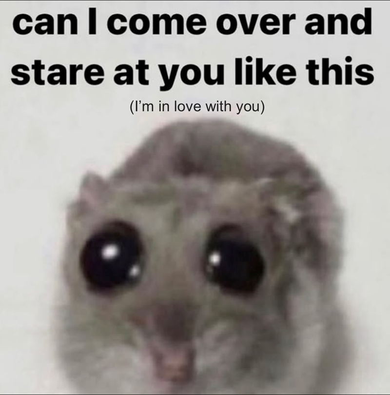can I come over and stare at you like this (I'm in love with you)