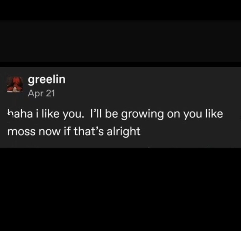 greelin Apr 21 haha i like you. I'll be growing on you like moss now if that's alright