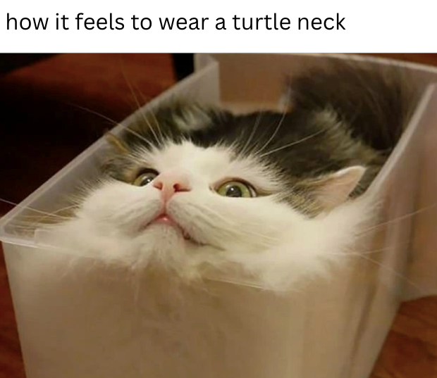 how it feels to wear a turtle neck