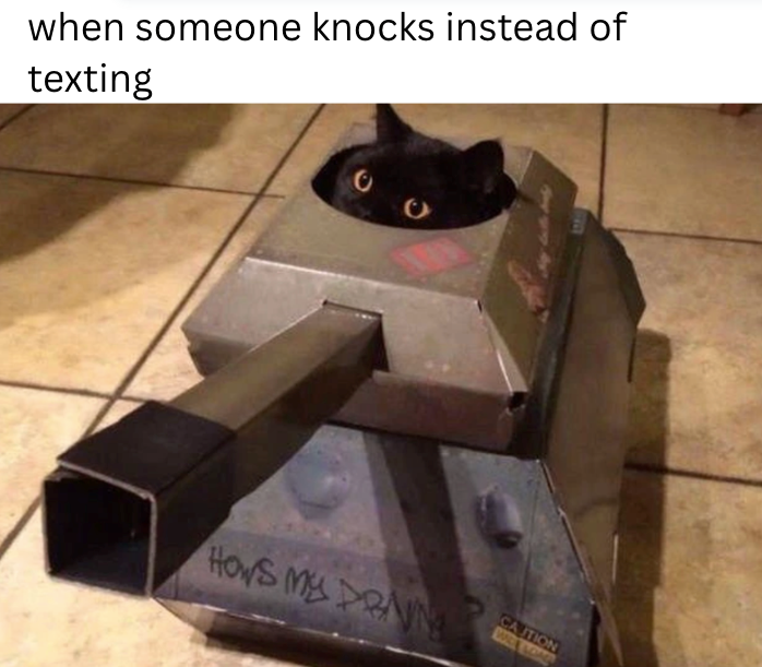 when someone knocks instead of texting HOWS MY PRVN CAUTION WELLOWA