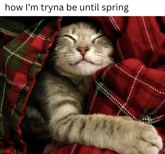 how I'm tryna be until spring