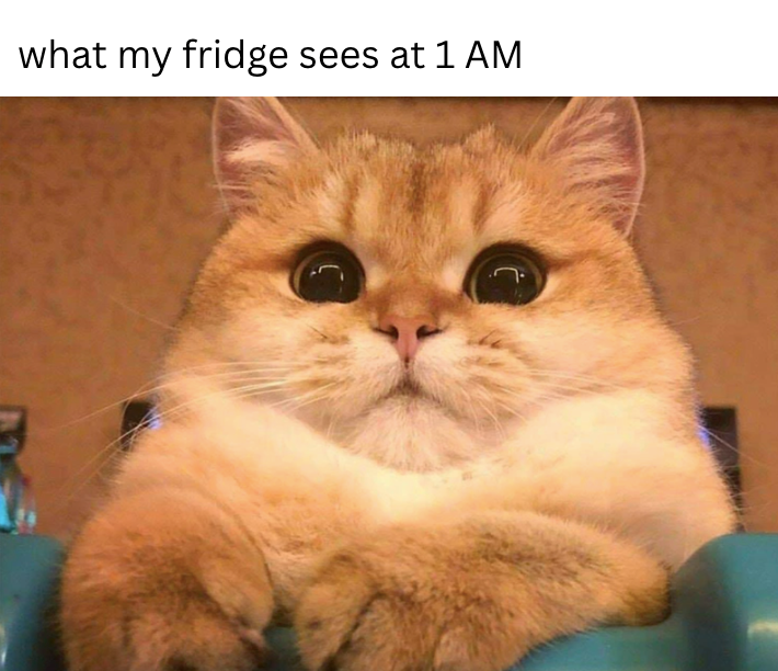 what my fridge sees at 1 AM C