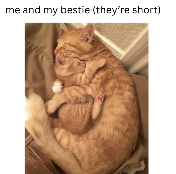 me and my bestie (they're short)