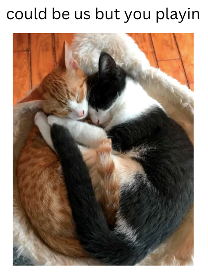 could be us but you playin