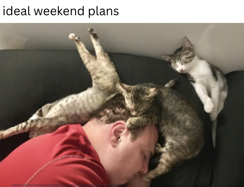 ideal weekend plans