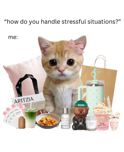 Cheezburger Image 10617101056