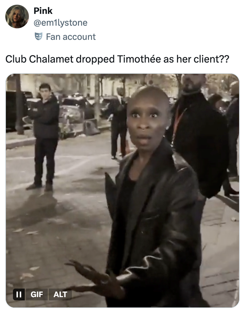 Pink @em1lystone Fan account Club Chalamet dropped Timothée as her client?? II GIF ALT